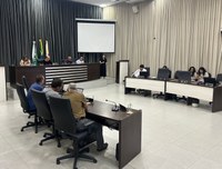 Câmara aprova incentivo para empresas e créditos adicionais especiais 