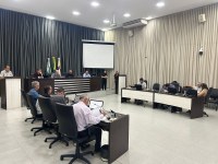 Câmara de Apucarana aprova projeto que pune maus-tratos contra animais 