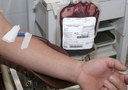 Doadores de sangue terão desconto de 50% em eventos culturais e esportivos